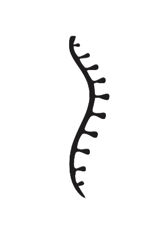 PHYSIOTHERAPIE FOLIUM